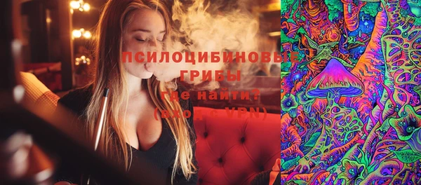 СК Вяземский