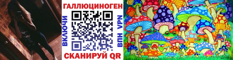 наркота  Инта  Галлюциногенные грибы мицелий 